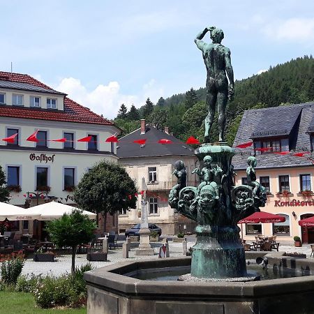 Gasthof Hillig Bad Gottleuba-Berggiesshuebel Ngoại thất bức ảnh