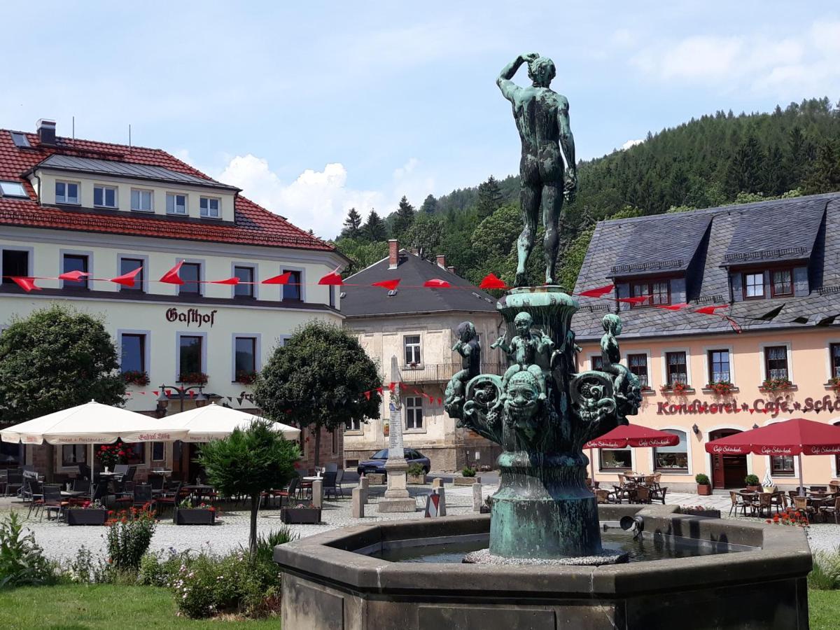 Gasthof Hillig Bad Gottleuba-Berggiesshuebel Ngoại thất bức ảnh