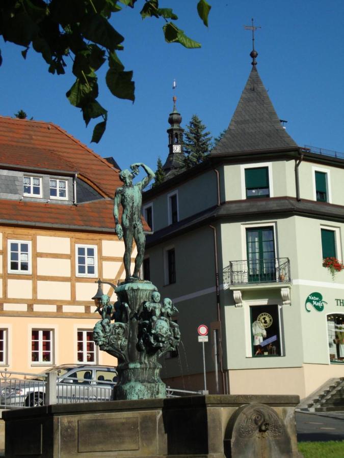 Gasthof Hillig Bad Gottleuba-Berggiesshuebel Ngoại thất bức ảnh